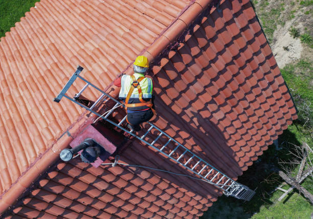 Best Roof Maintenance and Cleaning  in Selma, AL